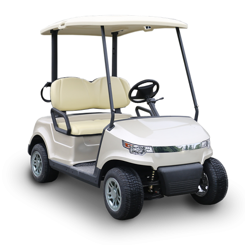 Roční pronájem buggy